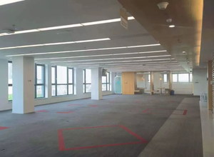 1586㎡