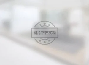 闵行 维璟中心 155平米 豪华装修